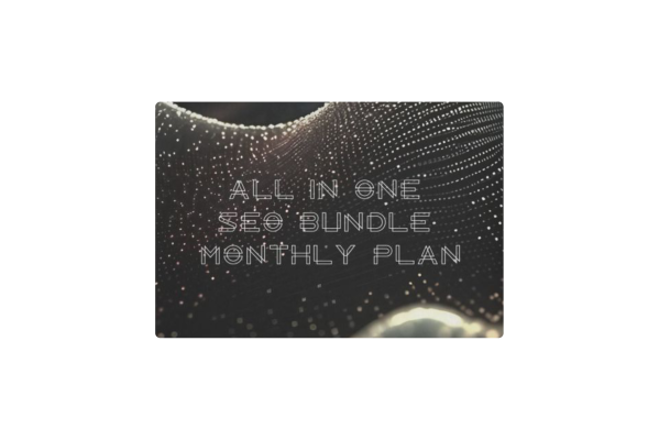 All in One SEO Bundle Monthly Plan