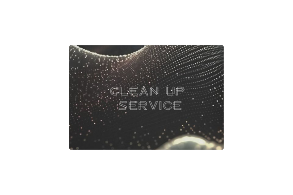 Clean Up Service