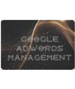 Google Adwords Manangement